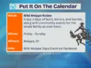 piotc-_-wild-weippe-rodeo-_-aug-14th