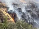 webb-rd-fire-14_aug_2026_2