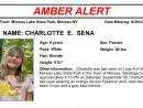 nystatepoliceamberalert28129676110
