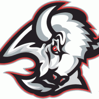 bison-logo-transparent