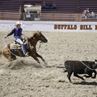 mpcc-rodeo-pic-2