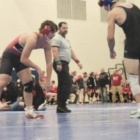 bison-wrestling-pic-8