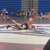 bison-wrestling-pic-9
