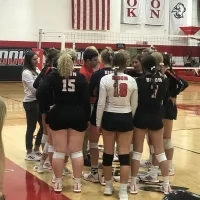 bison-vb-pic