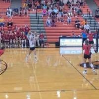 bison-vb-pic-2