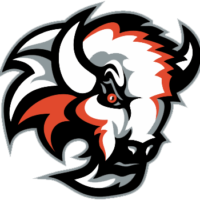 bison-logo