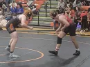 bison-wrestling-pic-17