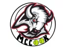 bison-tennis-logo