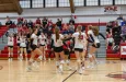 bison-vb-pic-3-2