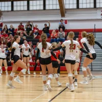 bison-vb-pic-3-2