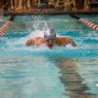 bison-swimming-pic-2-2