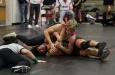 bison-wrestling-pic-7-4