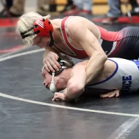 bison-wrestling-pic-7-6