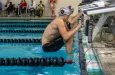 bison-swim-pic-1