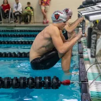 bison-swim-pic-1