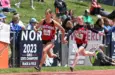 bison-track-pic-15