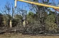 fire-photo-1