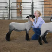 red-willow-county-4h-pic