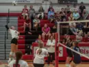 bison-volleyball-pic-6
