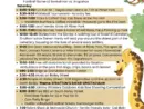 stratton-fall-festival-pic