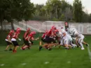 bison-football-pic-6