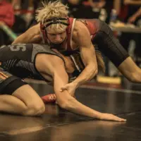 bison-wrestling-pic-7-9