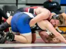bison-wrestling-pic-28
