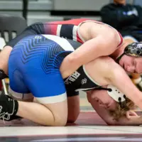 bison-wrestling-pic-28