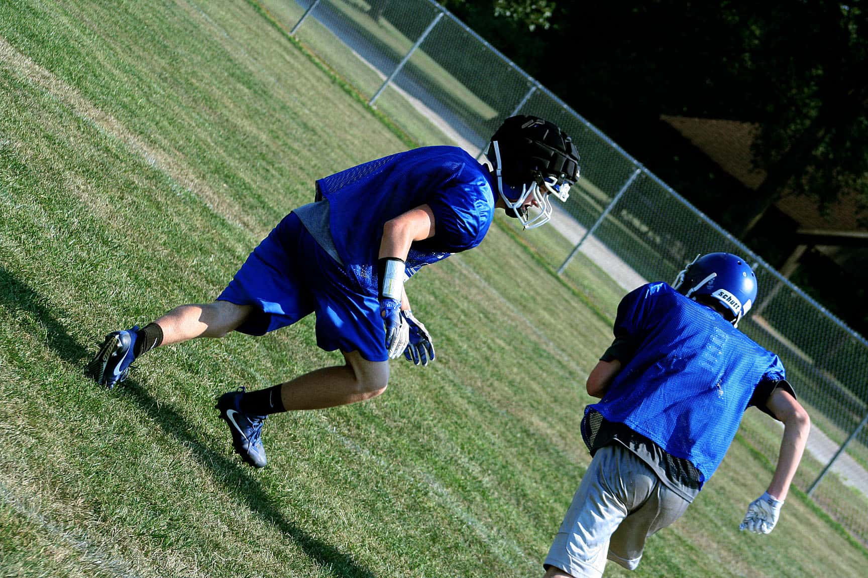 Porta Pigskin Preview