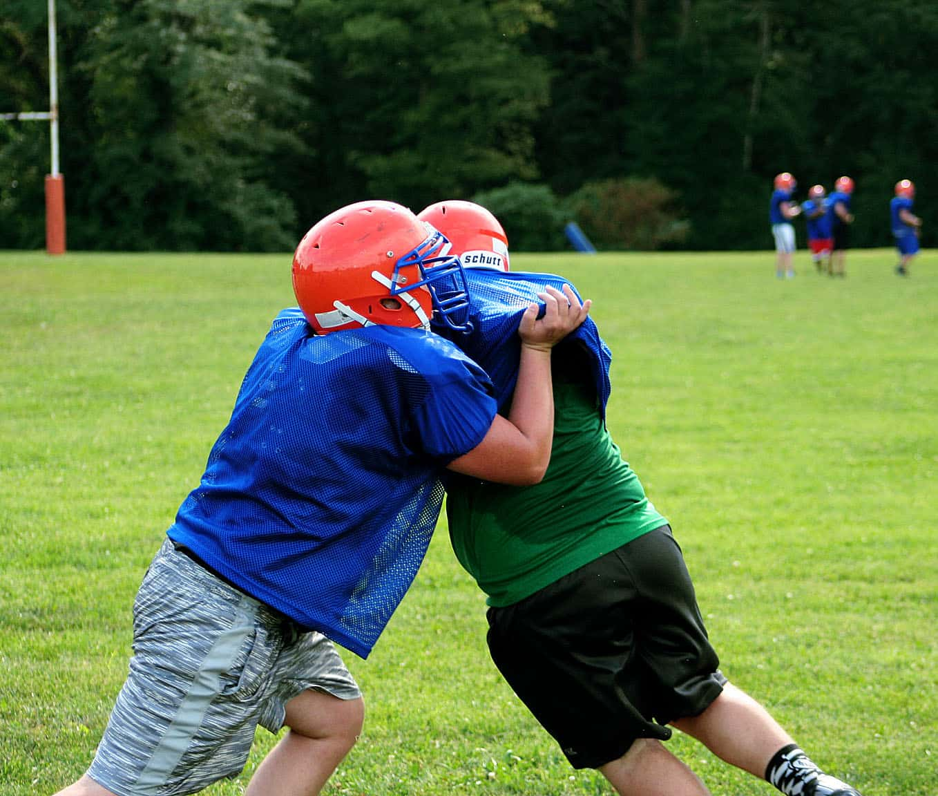 Riverton Pigskin Preview