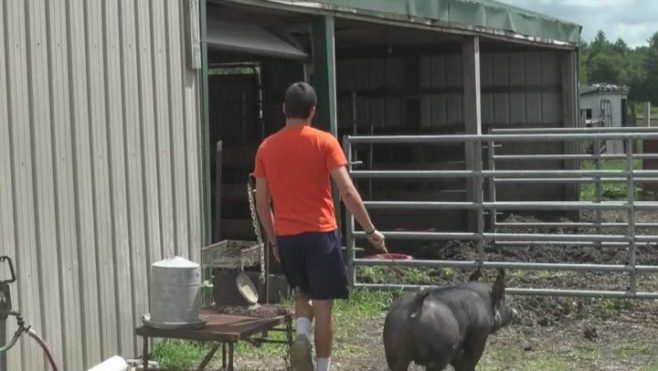 clay-bruno-4h-and-football_preview-0000003