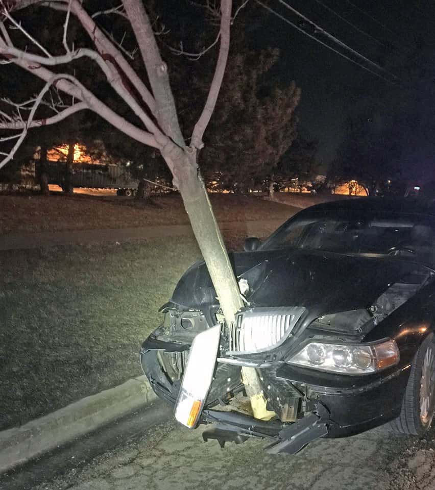 tree-in-car