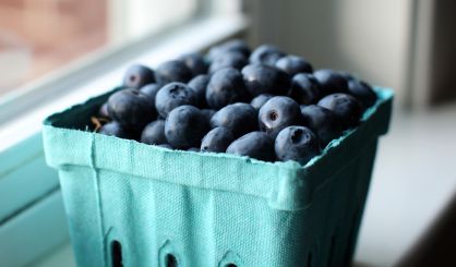 blueberries-9