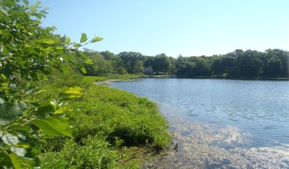 lower-scott-lake-in-allegan-co