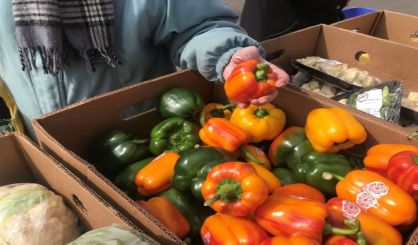 veggies4-2