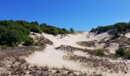 Land Conservancy Gets $100,000 Grant For Trails At Van Buren Preserve - Vimarsana News
