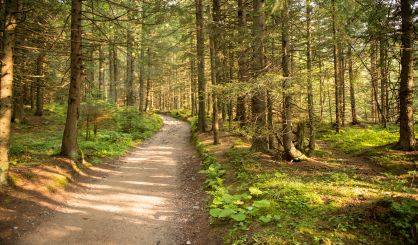 Michigan Trails Week Starts Sunday - Vimarsana News