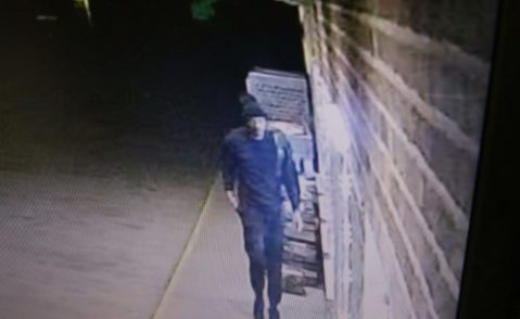 niles-robber-2-500x307483066-1