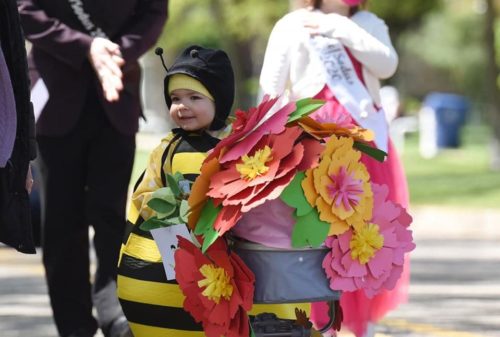 Reminder: Blossomtime Youth Parade, first annual softball game this weekend - Vimarsana News