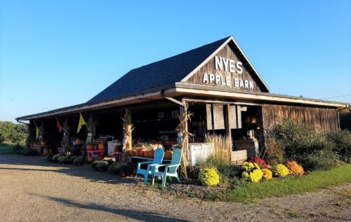 St. Joseph Township rejects Nye's Apple Barn development - Vimarsana News