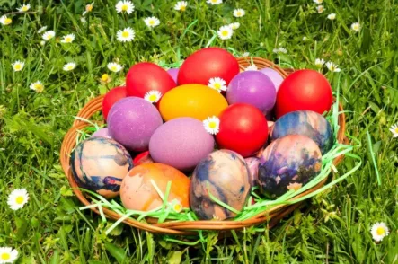 easter-eggs-safe-245-768x510200758-1