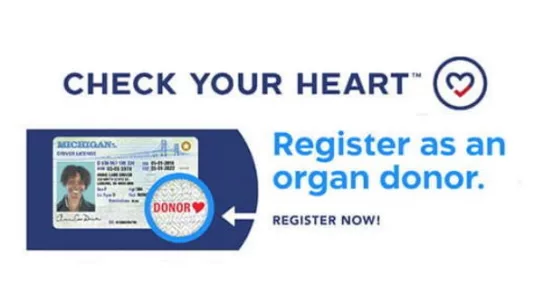 organdonation546826