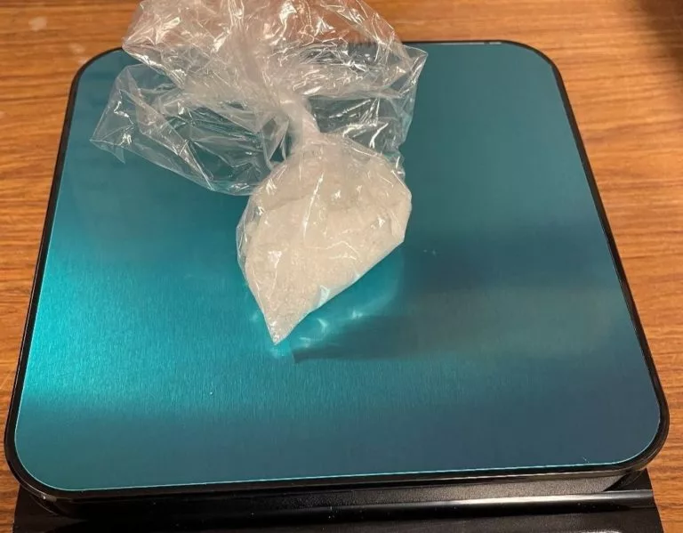 One arrested in Niles Township meth bust - Vimarsana News
