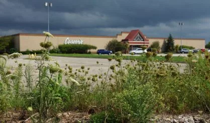 Benton Township woman seeking an end to the Orchards Mall gull problem - Vimarsana News