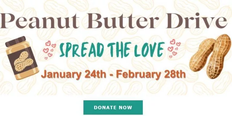 hhfgh5-768x384994028-1