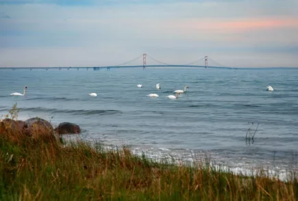 mackinac-bridge-wide-shot-768x5199906-1