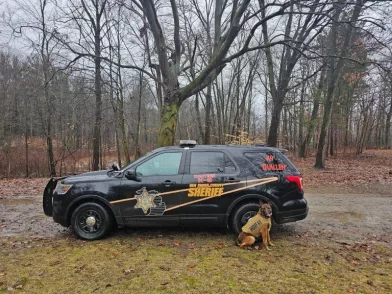 document-1-768x57652717-1