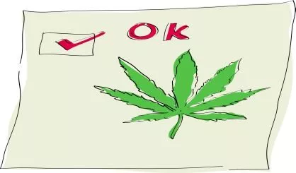 marijuana-safe990961