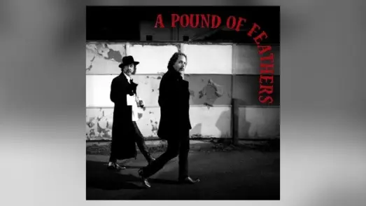 m_blackcrowespoundoffeathers_010926317885