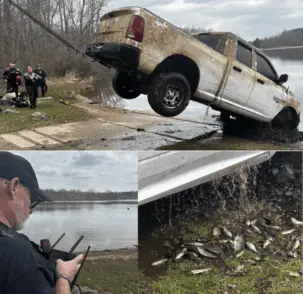 fish-truck-768x745352487-1